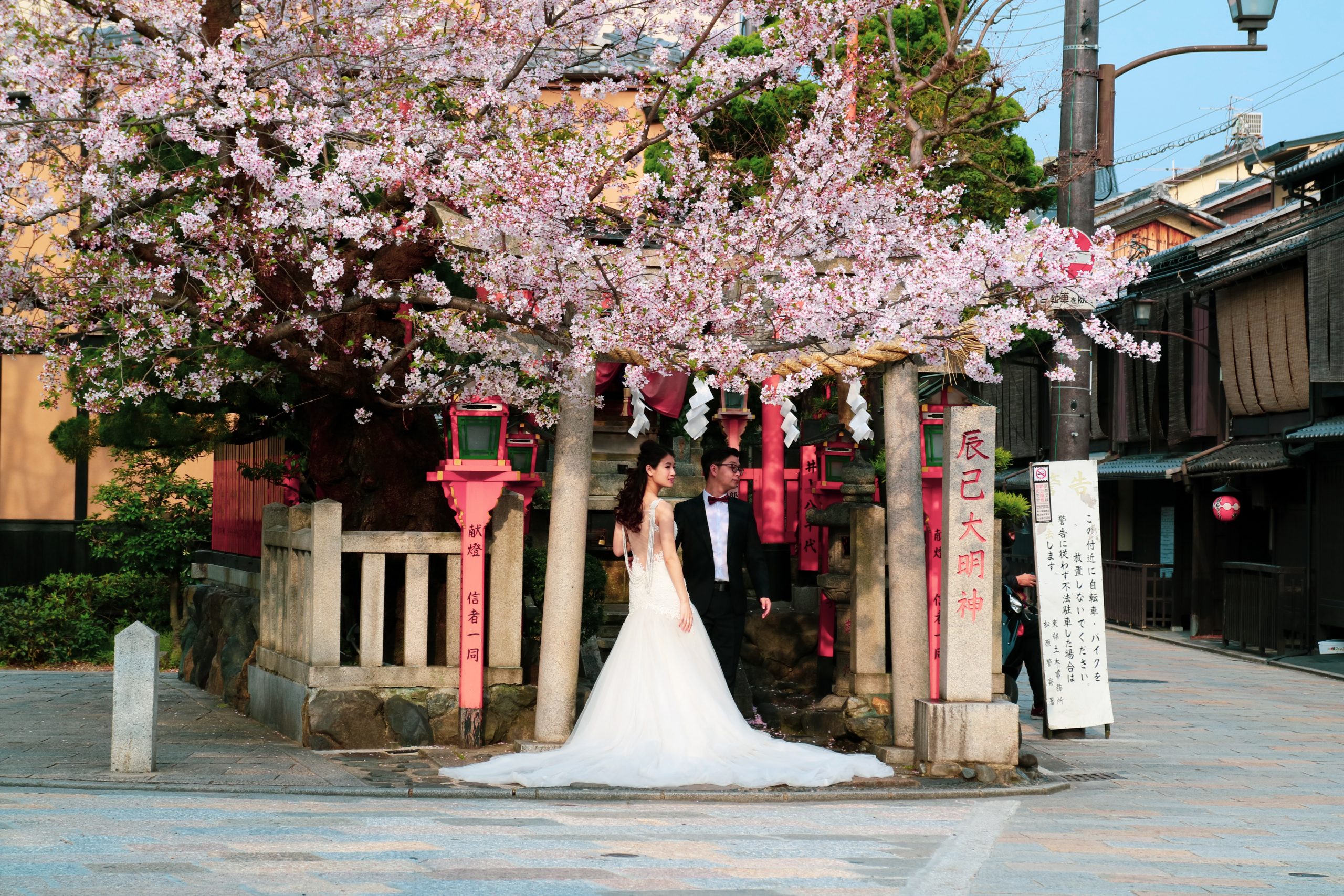 Newlywed standing under cherry blossoms.