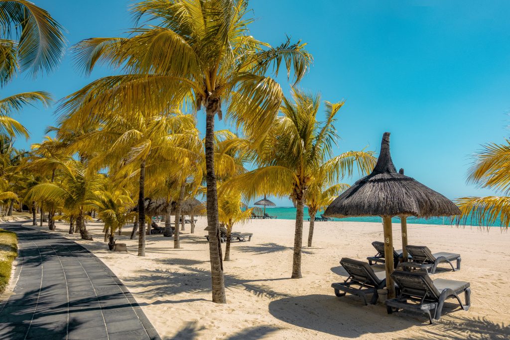 A beach lounge with umbrellas and palm trees