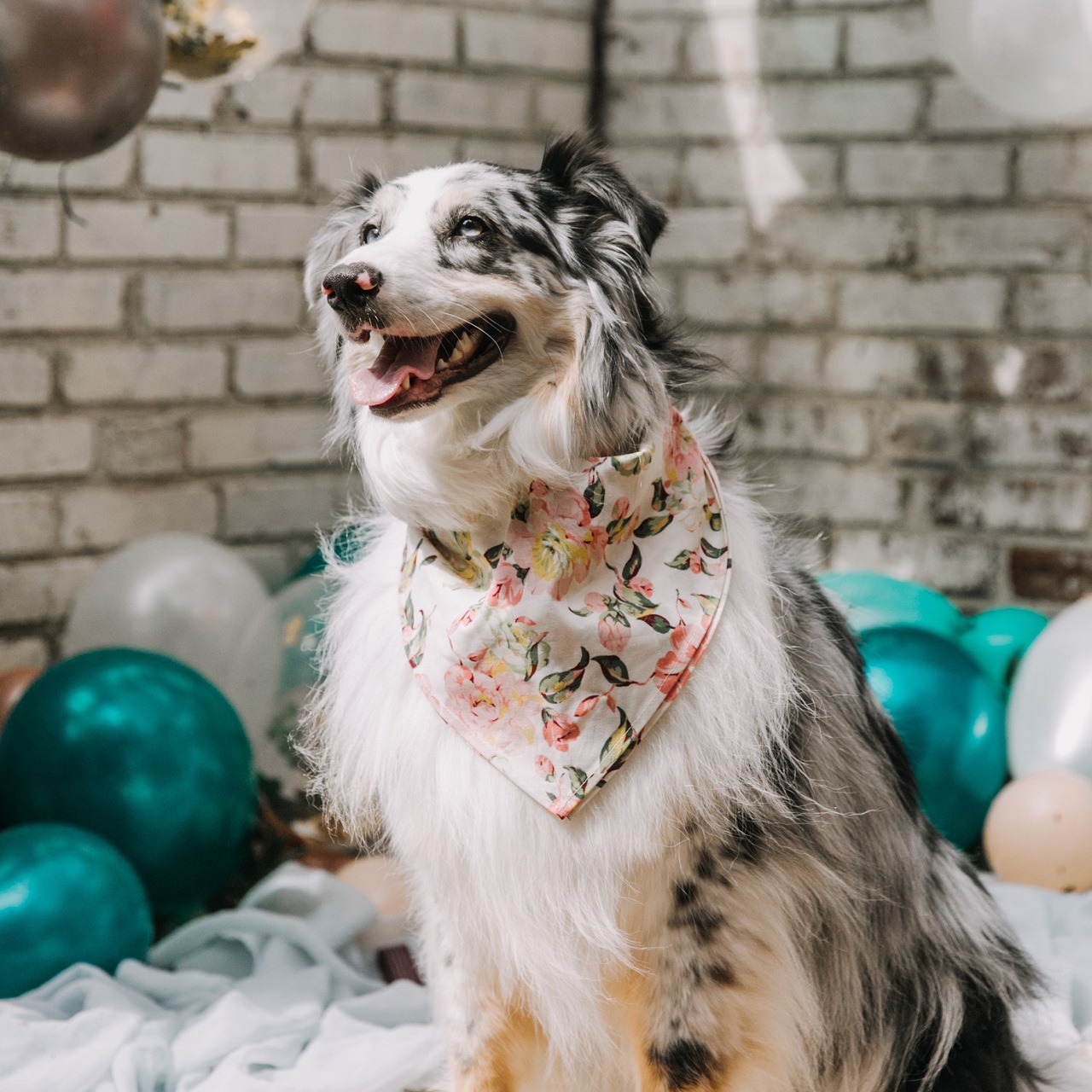 a dog wearing a floral bandana